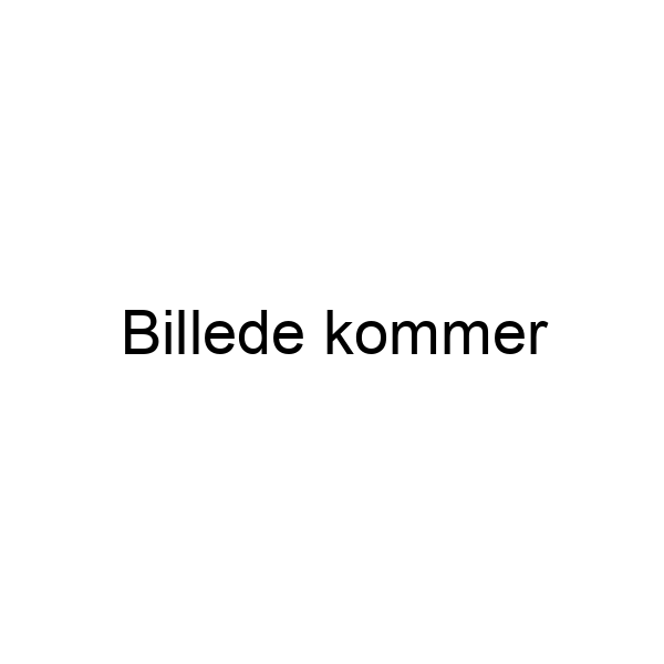 Partytelt 6x3m